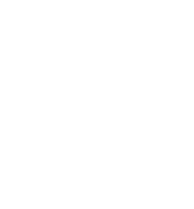 Ellexis Equestrian - EE logo